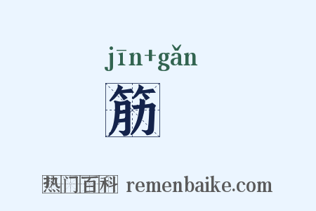 筋簳是什么意思的图片
